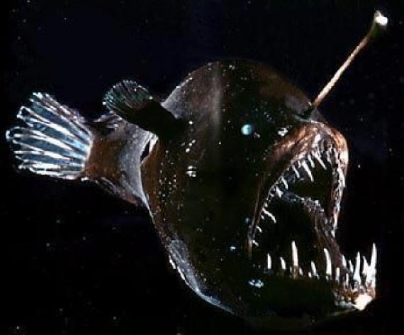 angler fish U艇表(U-Boat)U1001限量版手表-复刻表